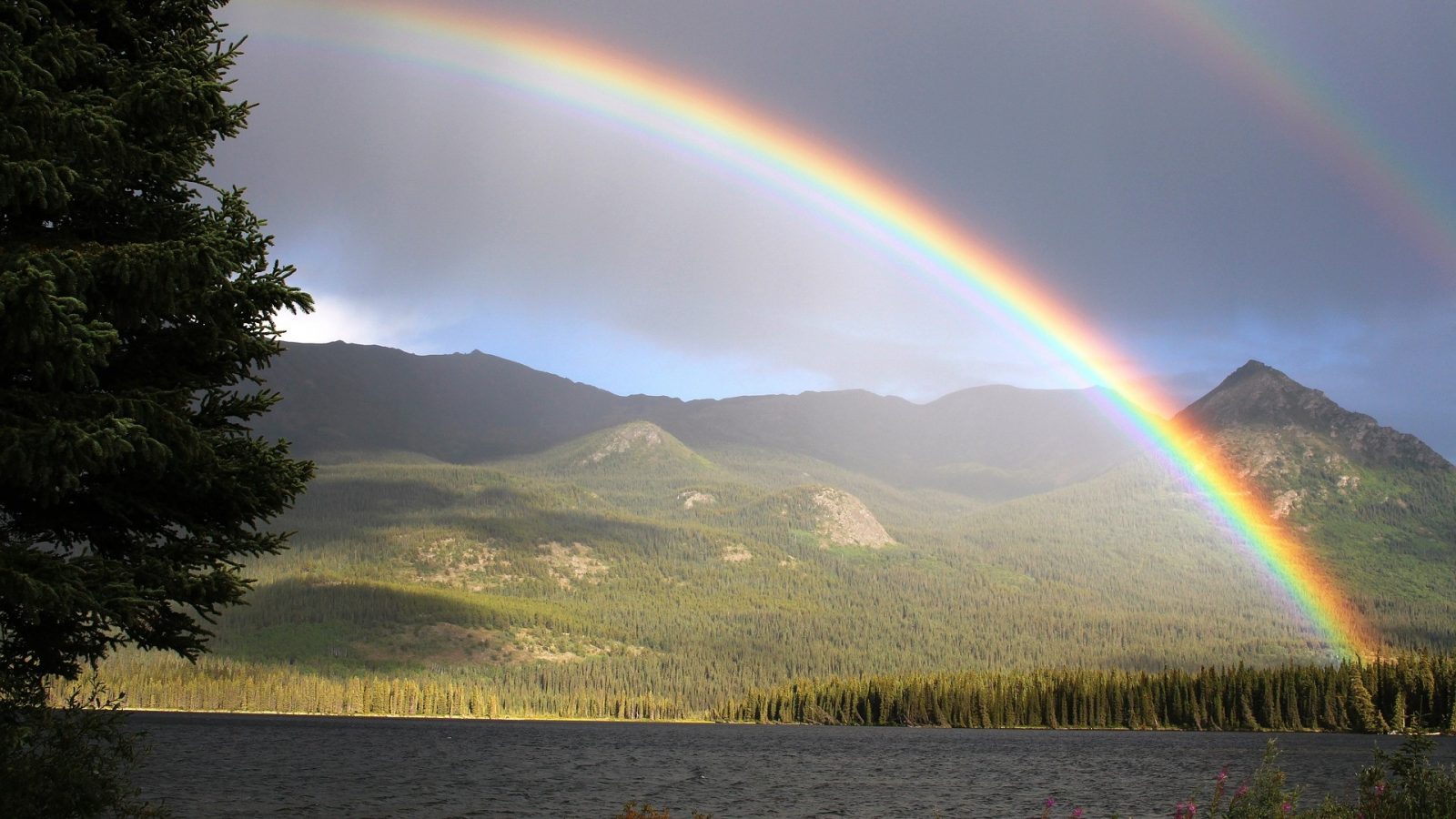 Mar Cheshvan 5786 /  October 2025